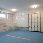 Vogelsand 342